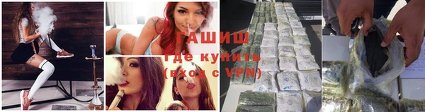 стафф Карпинск