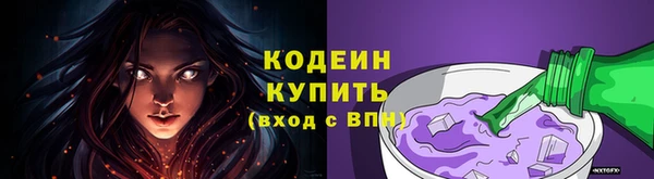 стафф Карпинск