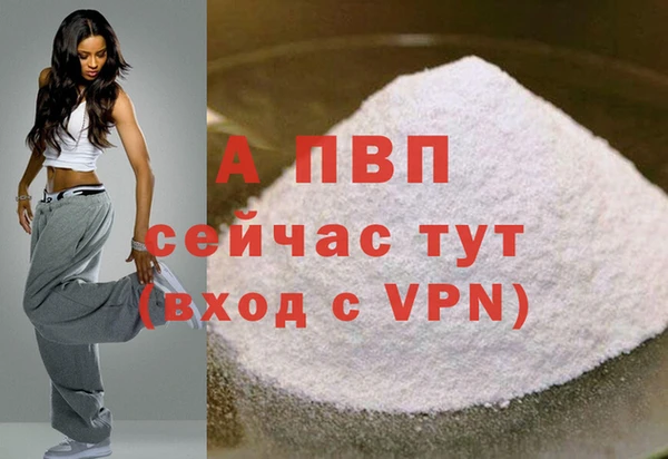 стафф Карпинск