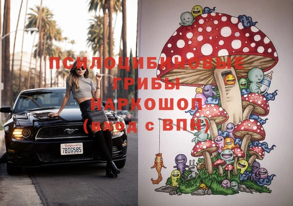 стафф Карпинск