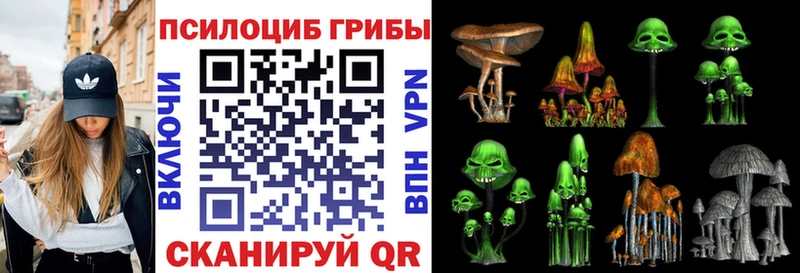 Псилоцибиновые грибы Magic Shrooms  Купить где  Каневская 